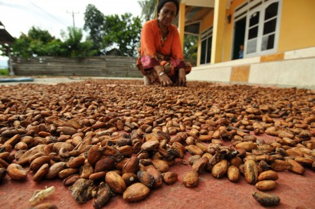 Kemenkeu : Jangan Buru-Buru Hapus Bea Impor Kakao