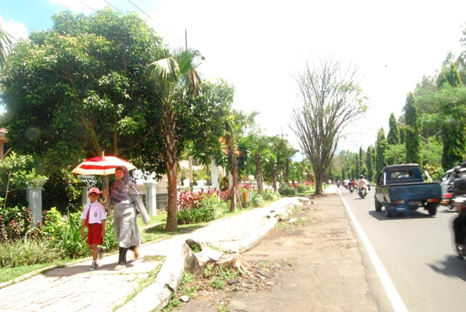 Hijaukan Malang dengan Kelapa Sawit, Pemkot Dinilai Pentingkan Bisnis