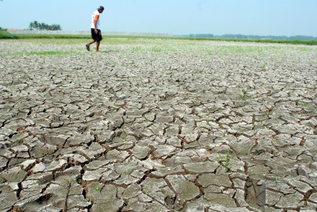 Serangan Hawa Panas Ancam Wilayah Indonesia