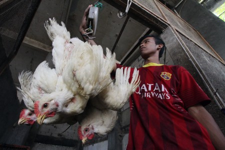 90 Persen Ayam Potong di Retail Modern Tidak Sehat dan Tidak Halal