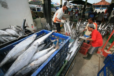 KIARA : Pemimpin Indonesia Terpilih Harus Tingkatkan Industri Perikanan