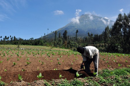 15 Ribu Pengungsi Sinabung Kekurangan Logistik
