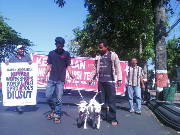 Kecewa Laporan Tak Ditanggapi, Kejaksaan Dihadiahi Anak Ayam