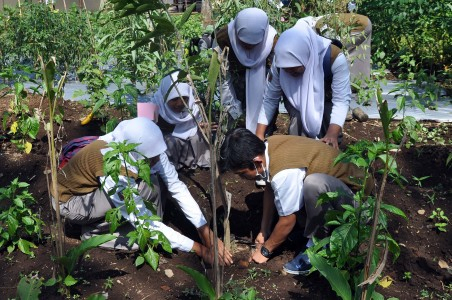 Pemerintah Banyuwangi Kampanye Gerakan Menanam Pohon