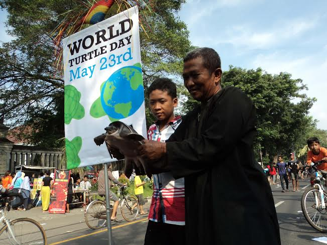 Aktivis  Satwa: Kura-Kura Bisa Jadi Teman Kala Kesepian