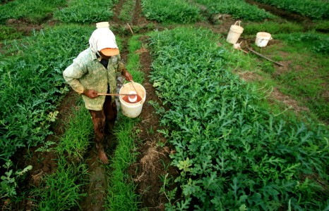 Sengketa Lahan, Perempuan Petani Diancam 3,5 Tahun Penjara