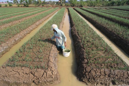 PN Karawang Cuek Rekomendasi Komnas HAM Soal Penundaan Eksekusi Lahan