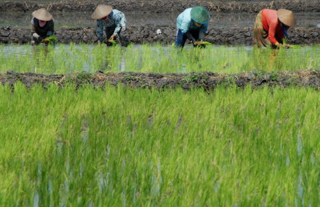 BPK: Dana Desa Rawan Penyimpangan