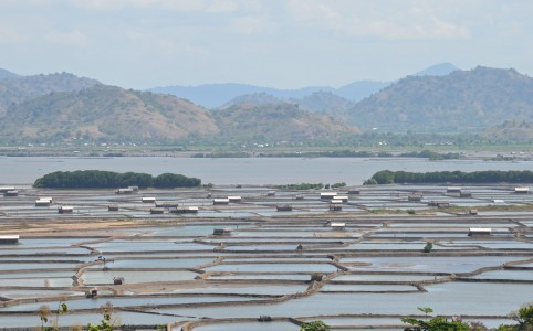 Indonesia Bersiap Hadapi El Nino