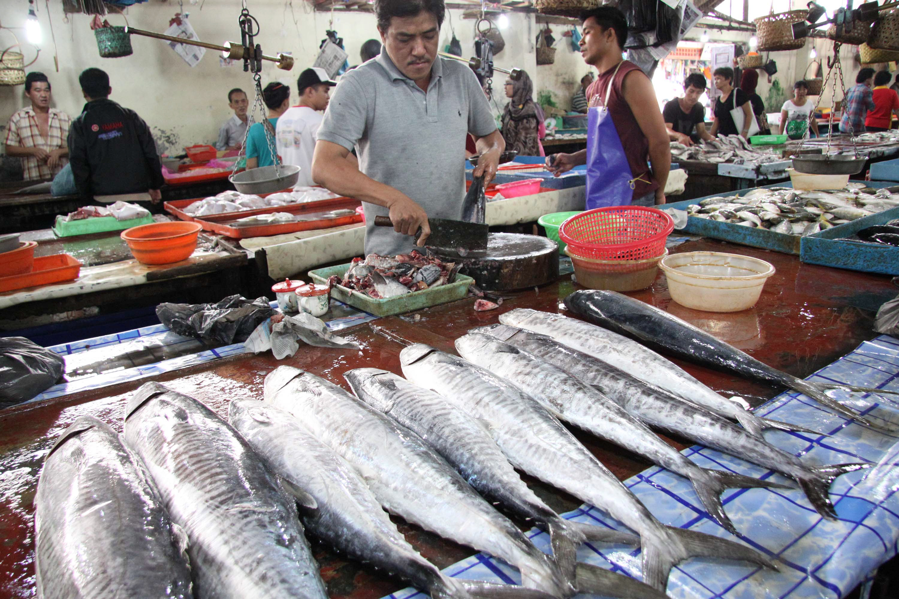 Cuaca Buruk Bikin Pelelangan Ikan di Rembang Lumpuh