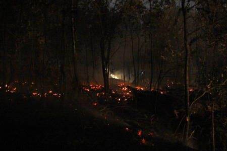Riau Hadapi Cuaca Panas