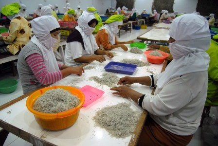 Anggaran Infrastruktur Dipotong, Penyerapan Tenaga Kerja Berkurang 400 Ribu