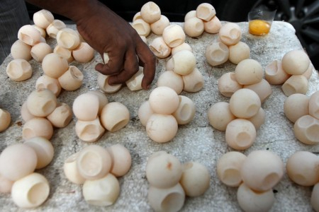 Kasus Jual Beli Telur Penyu Ilegal Cukup Tinggi