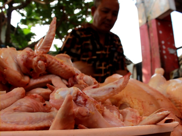 Harga Daging Ayam Naik, Warga Jombang Beli Lauk Lain