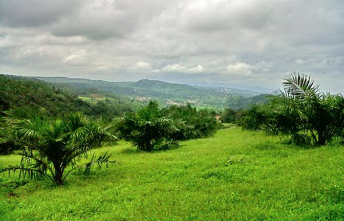UKP4: Segera Data Kepemilikan Lahan dan Hutan di Riau