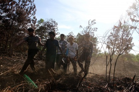 Lampaui Brazil, Penggundulan Hutan di Indonesia Terparah di Dunia