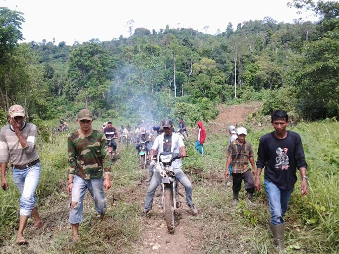 Ribuan Hektar Kawasan Leuser Rusak Parah Akibat Alih Fungsi Lahan