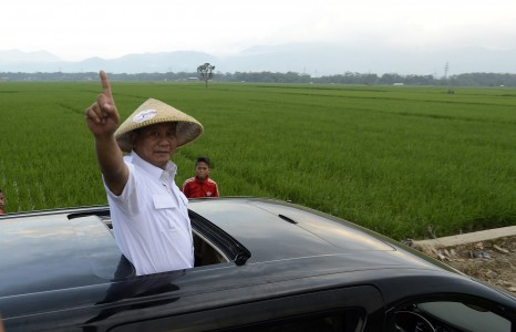 Timses: Prabowo-Hatta Promosikan Dua Juta Hektar Lahan Pertanian