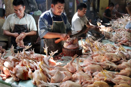 Harga daging ayam di Banyuwangi Turun