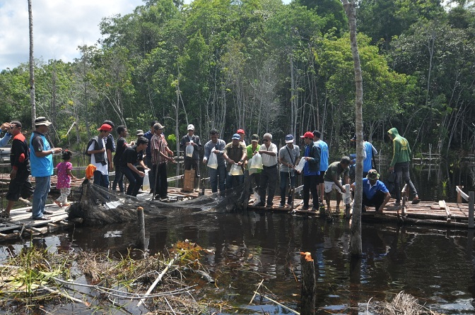 Warga Sintang Berjuang Selamatkan Danau yang Ditimbun Demi Kebun Sawit
