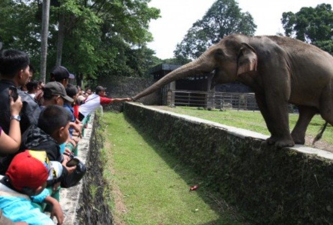 Libur Lebaran, Sampah Bungkus Makanan Berserakan di Kebun Binatang Ragunan