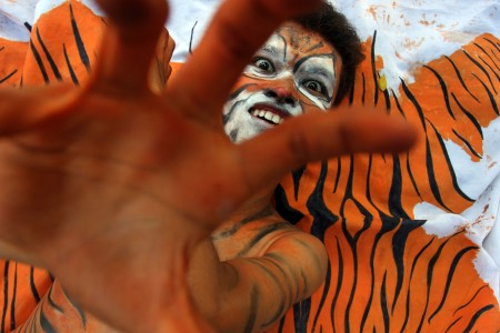 Jangan Sakiti Harimau yang Masuk Pemukiman
