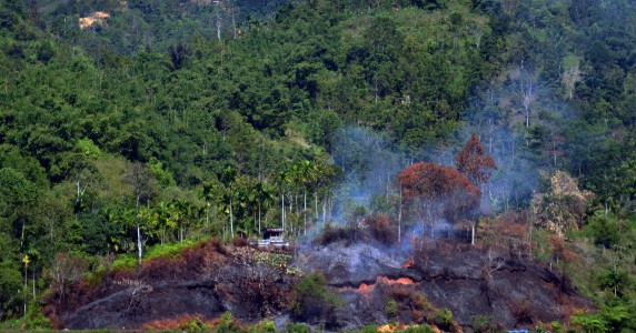Dinkes: Asap Riau Belum Ganggu Kesehatan Warga