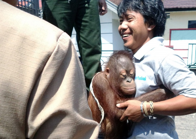 Kisah Si Manis yang Belajar Hidup di Alam Bebas