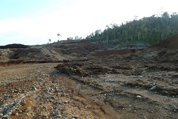 Ayo Selamatkan Hutan Muba!