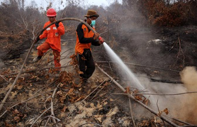 Belasan Perusahaan Dimintai Keterangan Terkait Kebakaran Hutan di Riau