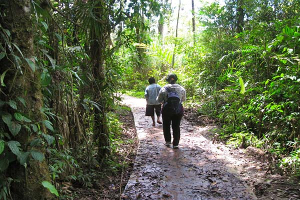 Ayo Berwisata ke Lore Lindu!