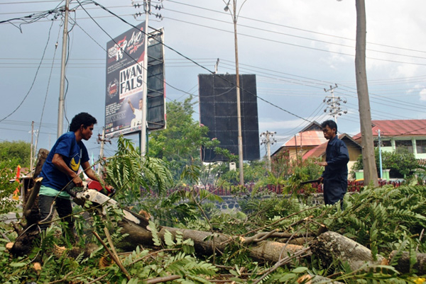 Demi Lahan Parkir, Pohon Ditebang