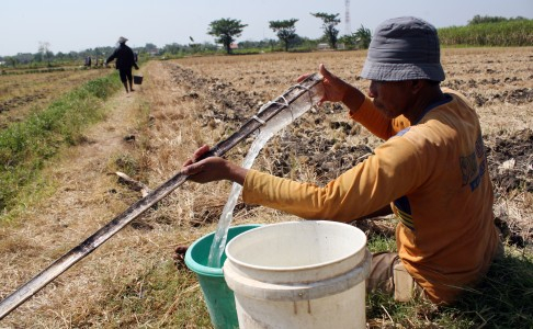 Aceh Larang Petani Jual Beras ke Provinsi Tetangga