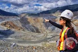 Pernyataan Lengkap Indonesia Sikapi Pencabutan Gugatan Newmont