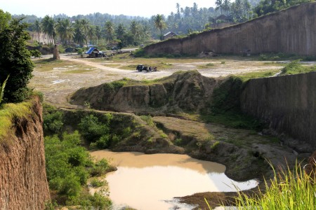 Smelter Nikel di Taman Nasional Baluran Bepotensi Merusak Lingkungan