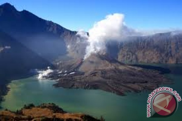 500 Hektar Hutan Rinjani Dilalap Jago Merah