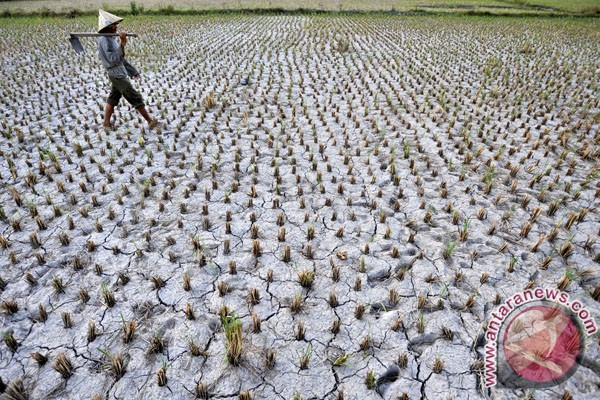 Yogya Bersiap Sambut Kemarau