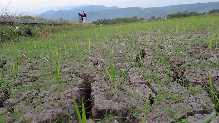 Cari Air Minum, Warga Banyuwangi Tempuh Jarak 4 Km