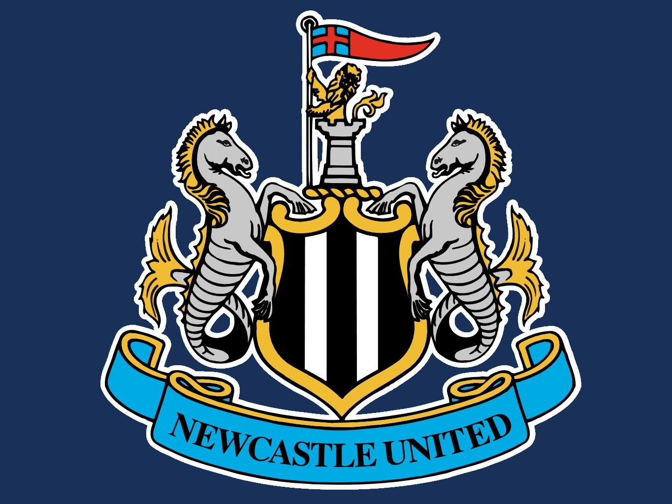 Pendukung Newcastle Paling Banyak Dilarang Masuk Stadion