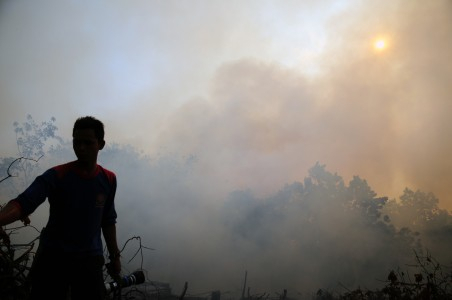 BNPB: Pembakaran Hutan Modus Baru Cari Dana Asing