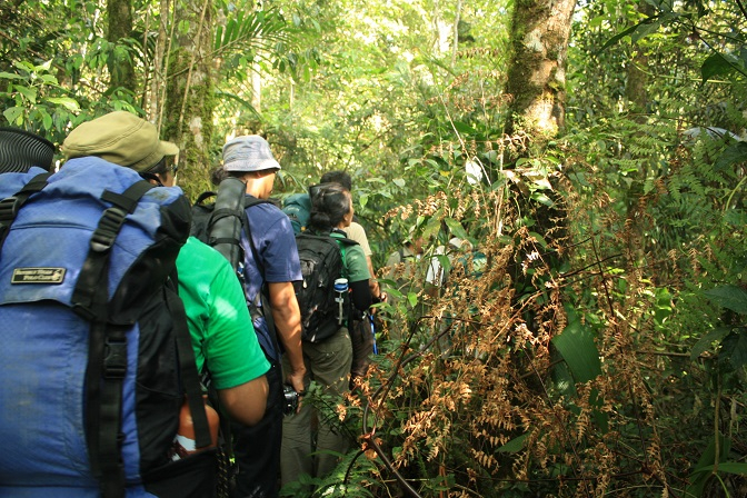 Mau Trekking di Sarongge? Baca Ini Dulu