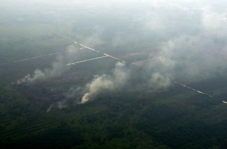 Kabut Asap Parah, BMKG: Hujan Mulai Turun di Riau