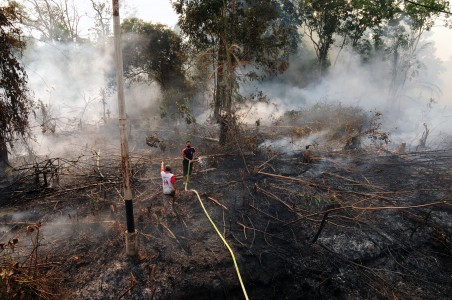 Atasi Kebakaran Hutan, BNPB Siapkan 350 Miliar