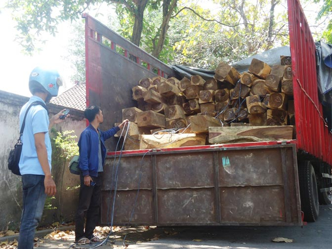 Polhut NTB Tangkap Truk Pengangkut Kayu Ilegal