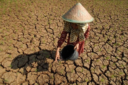 UU Pilkada Disahkan, Buruh Bekasi Batal Ajukan Calon Bupati Independen