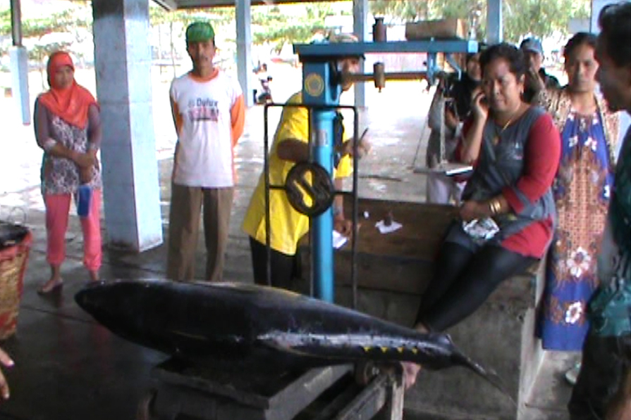 Untuk Penggila Ikan, Tuna di Trenggalek Lagi Murah