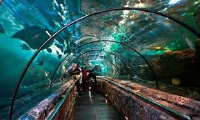 Pemprov Jakarta Ingin Bawa Sengketa Sea World ke Pengadilan Tinggi