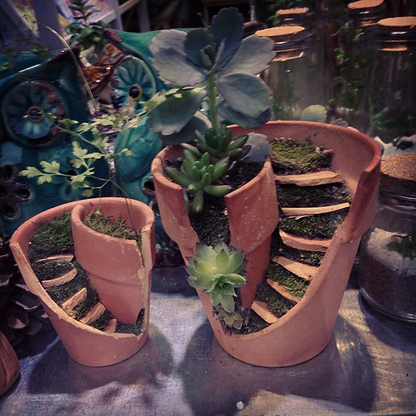 Pot Pecah di Taman Makin Cantik dengan Sentuhan Sederhana