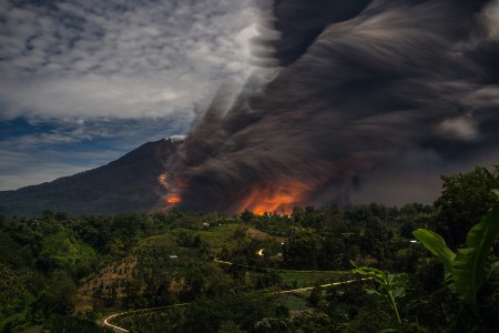 Pemerintah Salurkan Benih Jeruk Siam ke Petani Karo