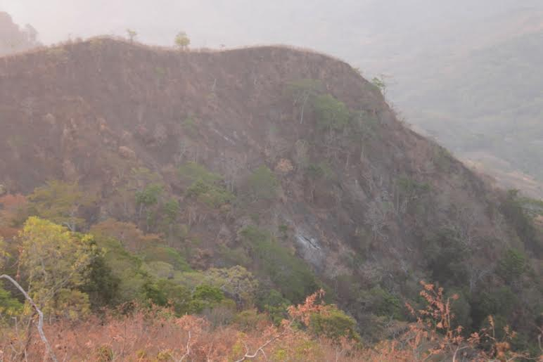 Kebakaran Hutan di Sumba Kerap karena Ulah Manusia